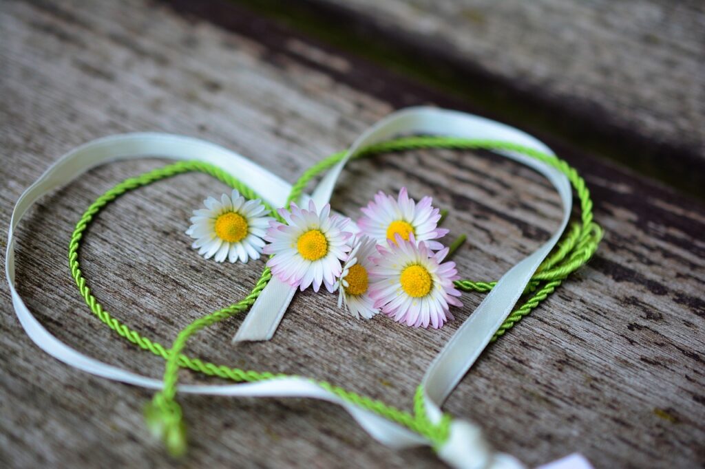 Daisy and ribbon in a heart shape
