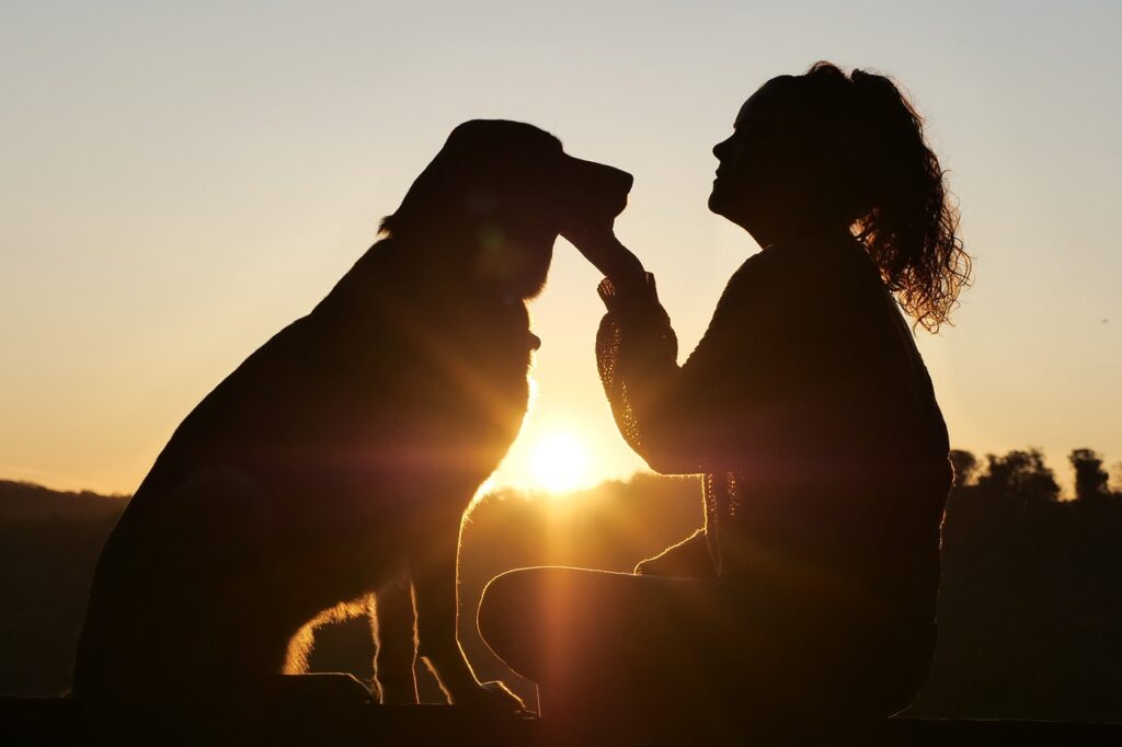 Dog and owner in sunset photo