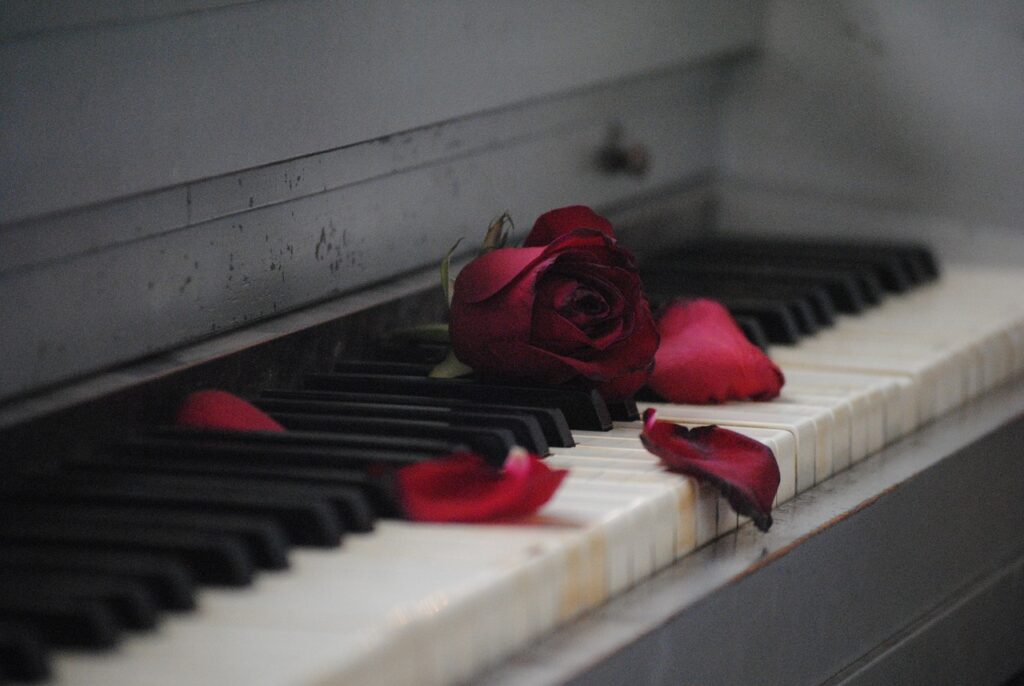 Piano keys with a red rose on them